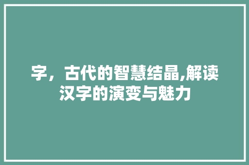 字，古代的智慧结晶,解读汉字的演变与魅力