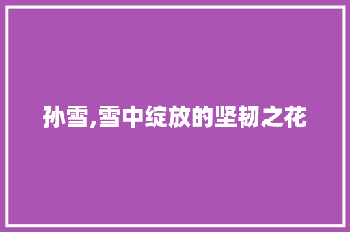 孙雪,雪中绽放的坚韧之花