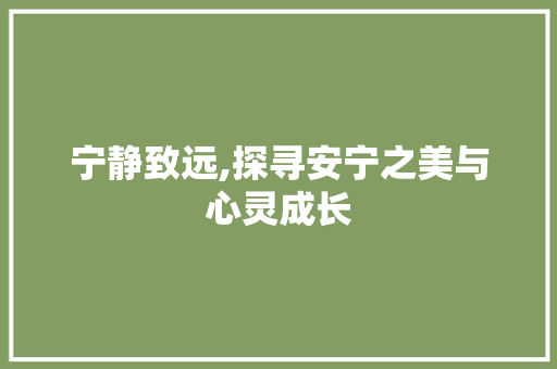 宁静致远,探寻安宁之美与心灵成长