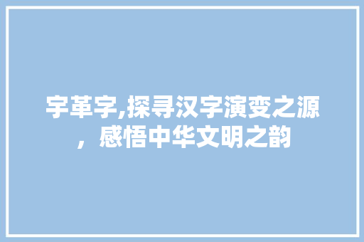 宇革字,探寻汉字演变之源，感悟中华文明之韵