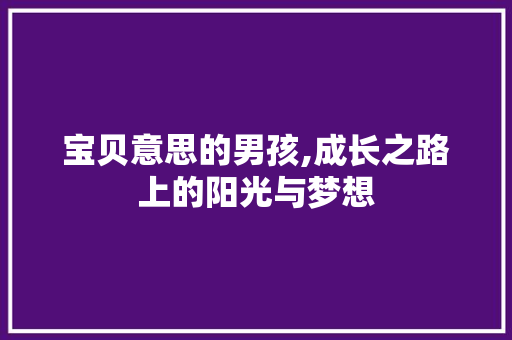 宝贝意思的男孩,成长之路上的阳光与梦想