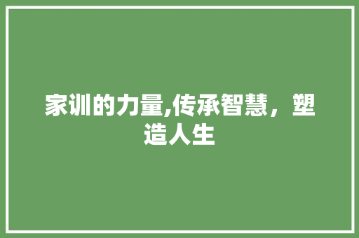 家训的力量,传承智慧，塑造人生