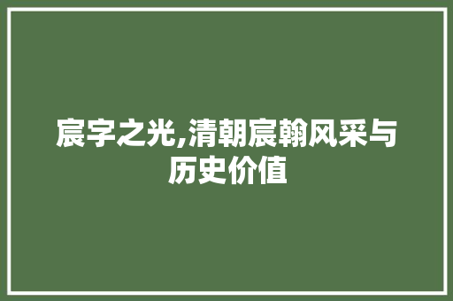 宸字之光,清朝宸翰风采与历史价值