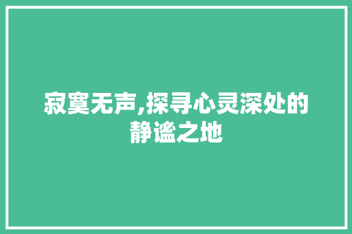 寂寞无声,探寻心灵深处的静谧之地