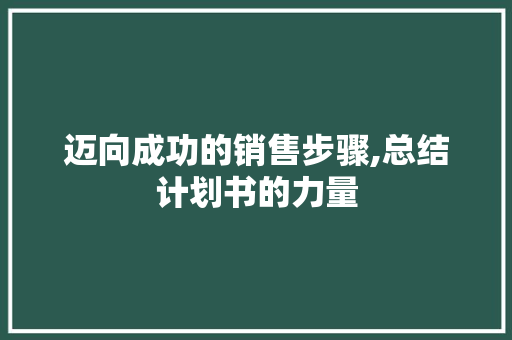 迈向成功的销售步骤,总结计划书的力量