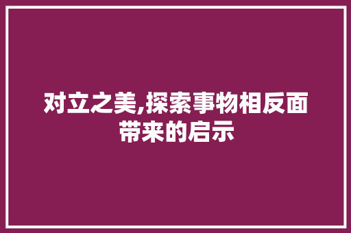 对立之美,探索事物相反面带来的启示