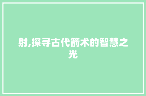射,探寻古代箭术的智慧之光