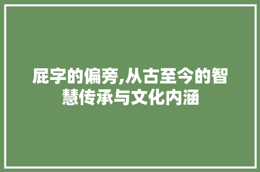 屁字的偏旁,从古至今的智慧传承与文化内涵