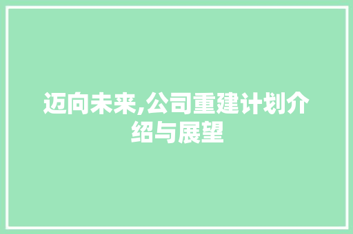 迈向未来,公司重建计划介绍与展望