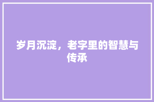 岁月沉淀，老字里的智慧与传承