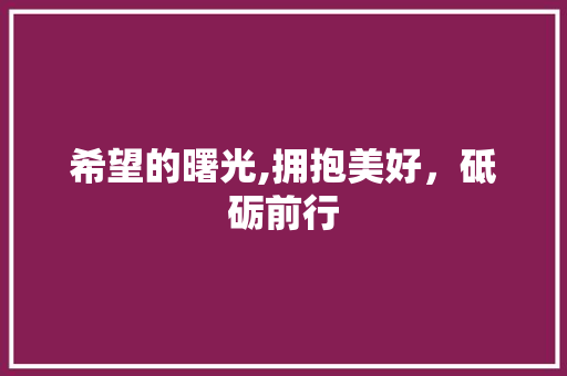 希望的曙光,拥抱美好，砥砺前行
