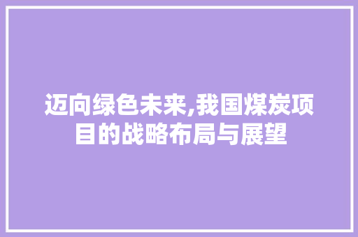 迈向绿色未来,我国煤炭项目的战略布局与展望