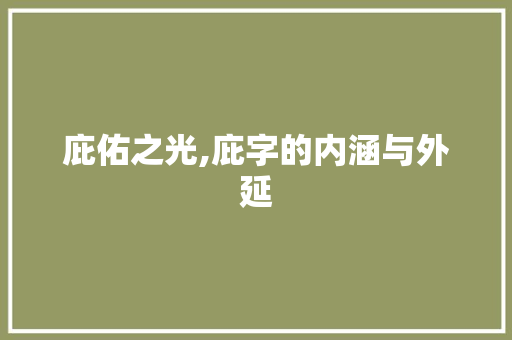 庇佑之光,庇字的内涵与外延