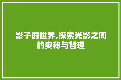 影子的世界,探索光影之间的奥秘与哲理