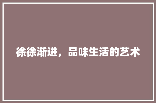 徐徐渐进，品味生活的艺术