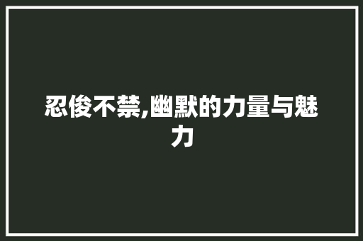 忍俊不禁,幽默的力量与魅力
