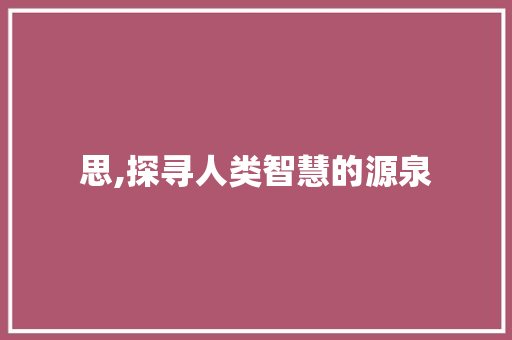 思,探寻人类智慧的源泉