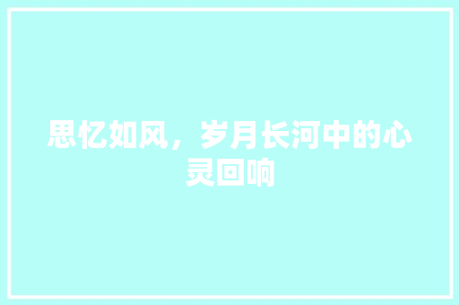 思忆如风，岁月长河中的心灵回响