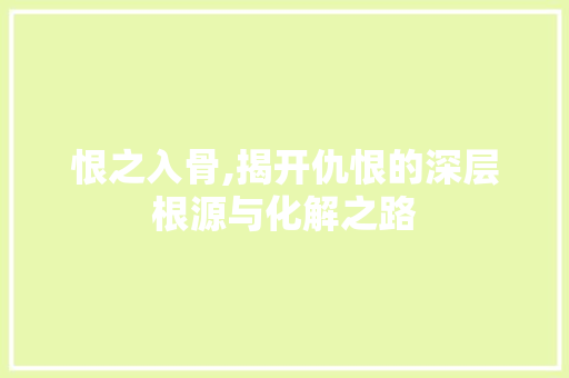 恨之入骨,揭开仇恨的深层根源与化解之路