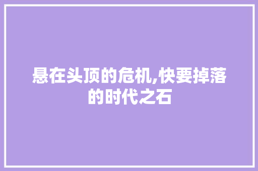 悬在头顶的危机,快要掉落的时代之石