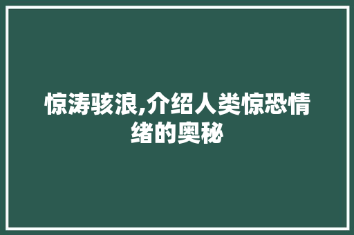 惊涛骇浪,介绍人类惊恐情绪的奥秘