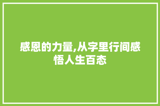 感恩的力量,从字里行间感悟人生百态
