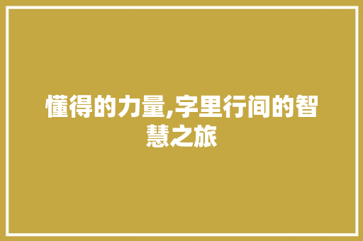懂得的力量,字里行间的智慧之旅