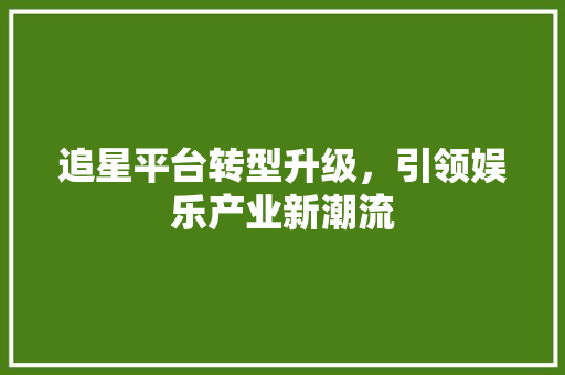 追星平台转型升级，引领娱乐产业新潮流