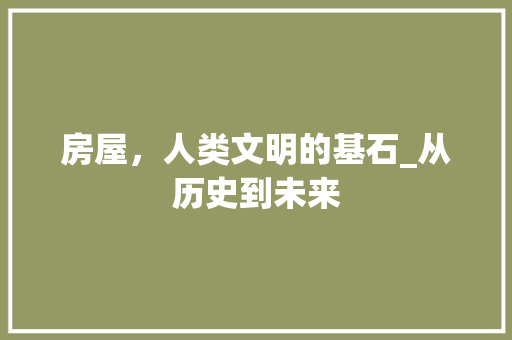 房屋，人类文明的基石_从历史到未来
