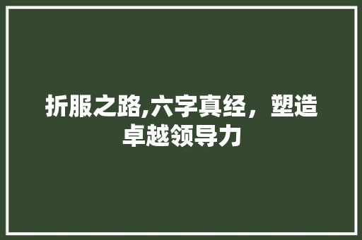折服之路,六字真经，塑造卓越领导力