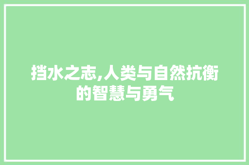 挡水之志,人类与自然抗衡的智慧与勇气
