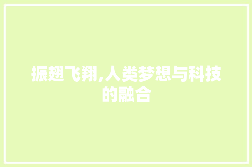 振翅飞翔,人类梦想与科技的融合