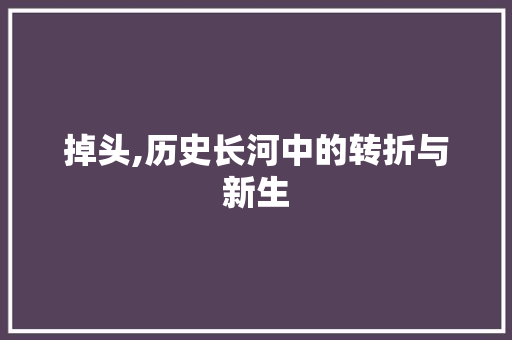掉头,历史长河中的转折与新生
