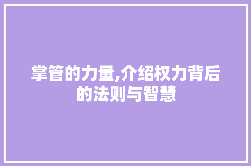 掌管的力量,介绍权力背后的法则与智慧