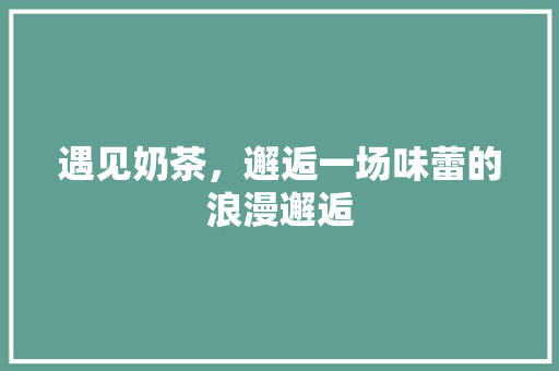 遇见奶茶，邂逅一场味蕾的浪漫邂逅
