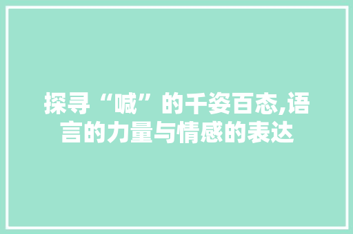 探寻“喊”的千姿百态,语言的力量与情感的表达