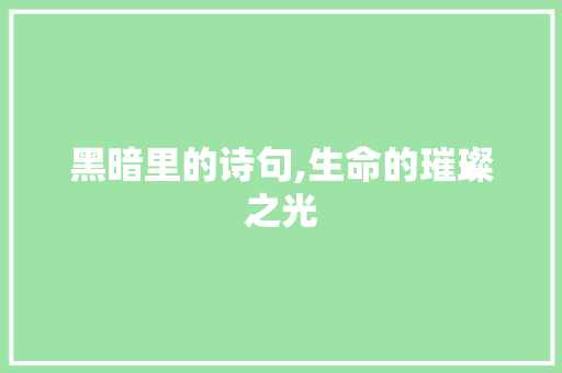 黑暗里的诗句,生命的璀璨之光