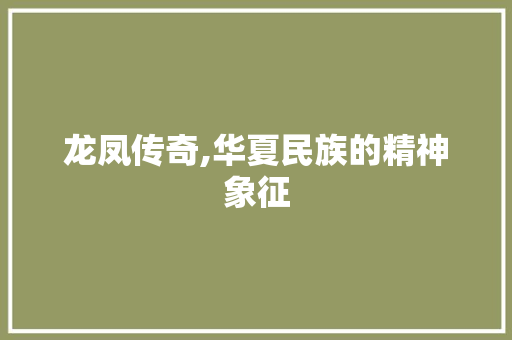 龙凤传奇,华夏民族的精神象征