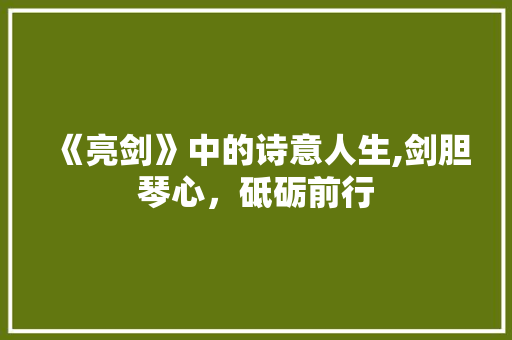 《亮剑》中的诗意人生,剑胆琴心，砥砺前行