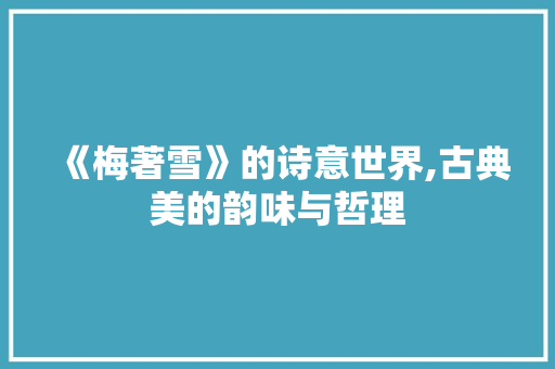 《梅著雪》的诗意世界,古典美的韵味与哲理