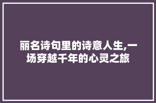 丽名诗句里的诗意人生,一场穿越千年的心灵之旅 生活随笔