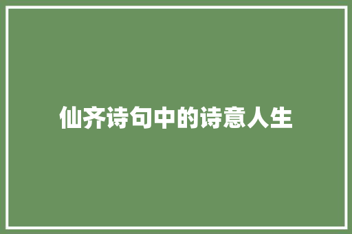 仙齐诗句中的诗意人生