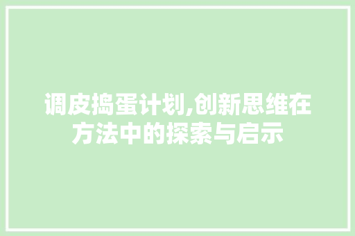 调皮捣蛋计划,创新思维在方法中的探索与启示