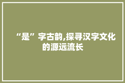 “是”字古韵,探寻汉字文化的源远流长