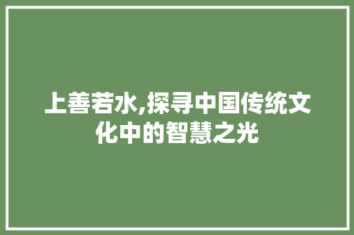 上善若水,探寻中国传统文化中的智慧之光