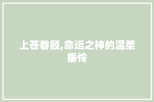 上苍眷顾,命运之神的温柔垂怜