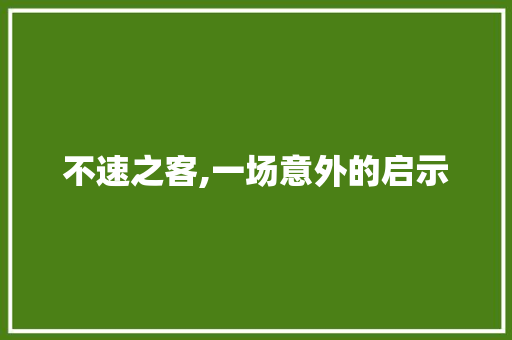 不速之客,一场意外的启示