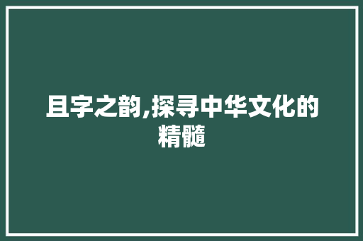 且字之韵,探寻中华文化的精髓
