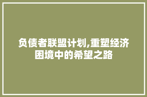 负债者联盟计划,重塑经济困境中的希望之路