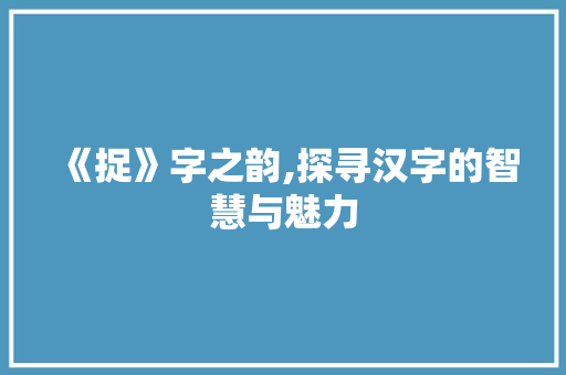 《捉》字之韵,探寻汉字的智慧与魅力